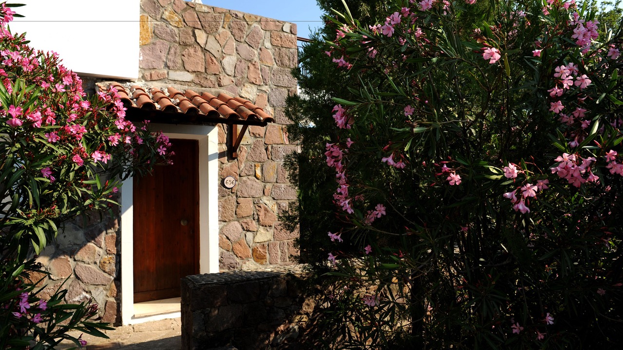 Photo of Outdoor in Mithimna