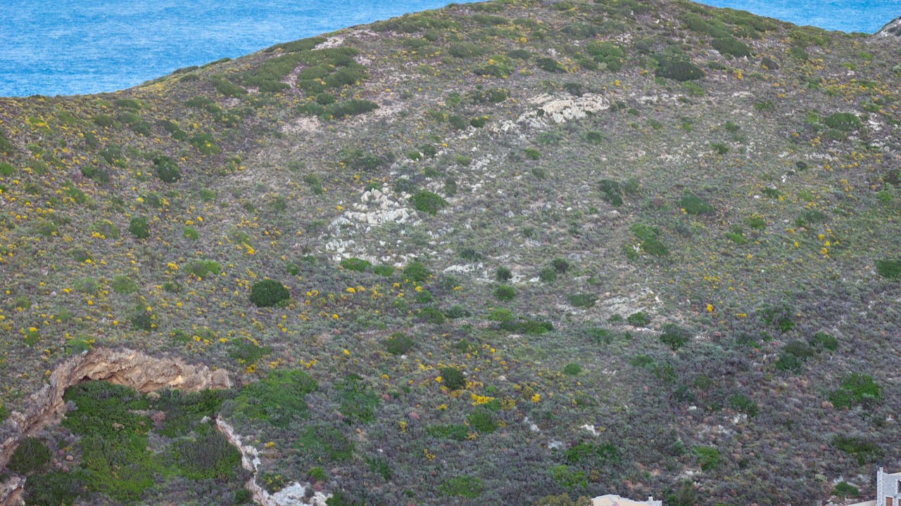 Photo of Outdoor in Omales