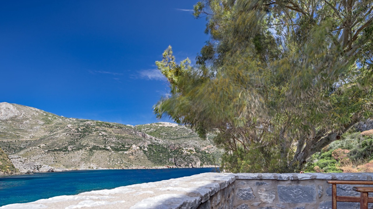 Photo of Others in Omales