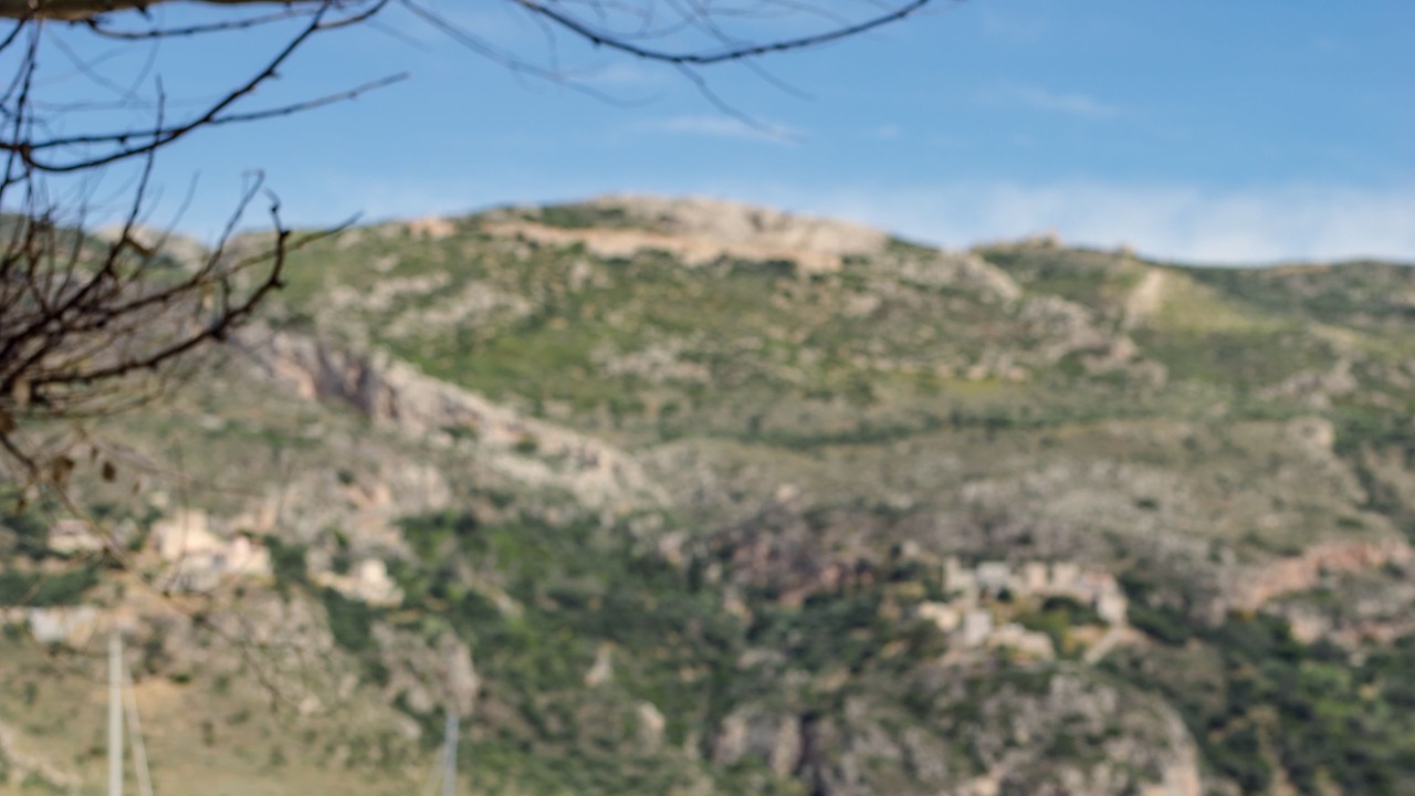 Photo of Others in Omales