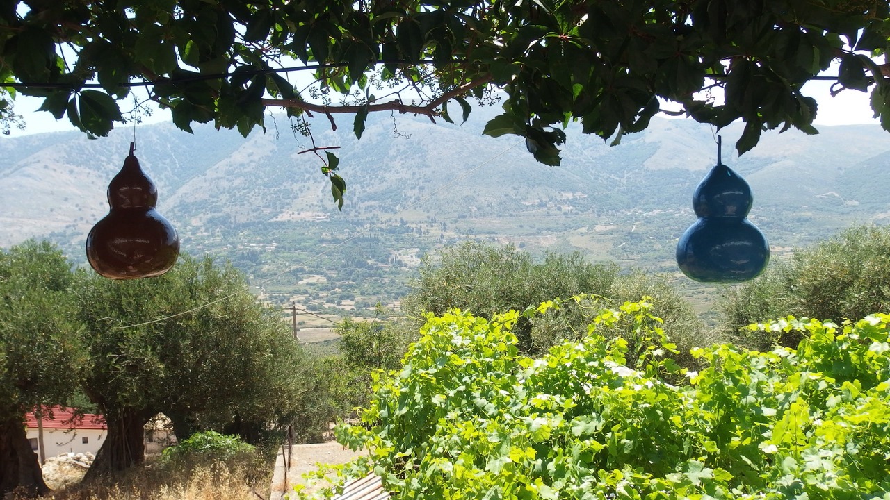 Photo of Others in Argostoli