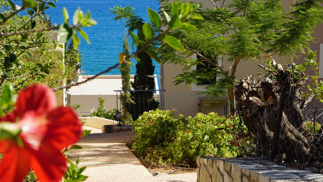 Photo of Outdoor in Kastri