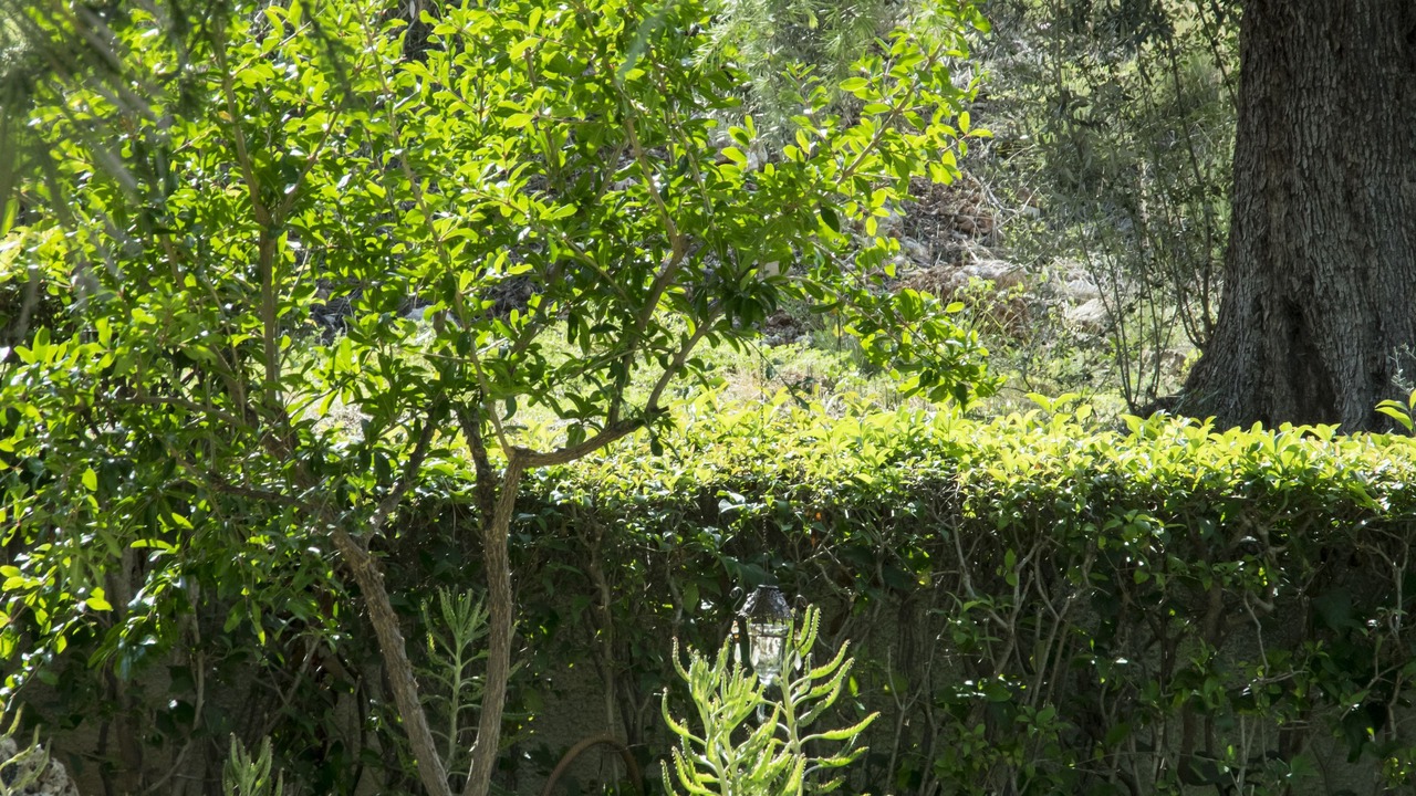 Photo of Outdoor in Kefalari