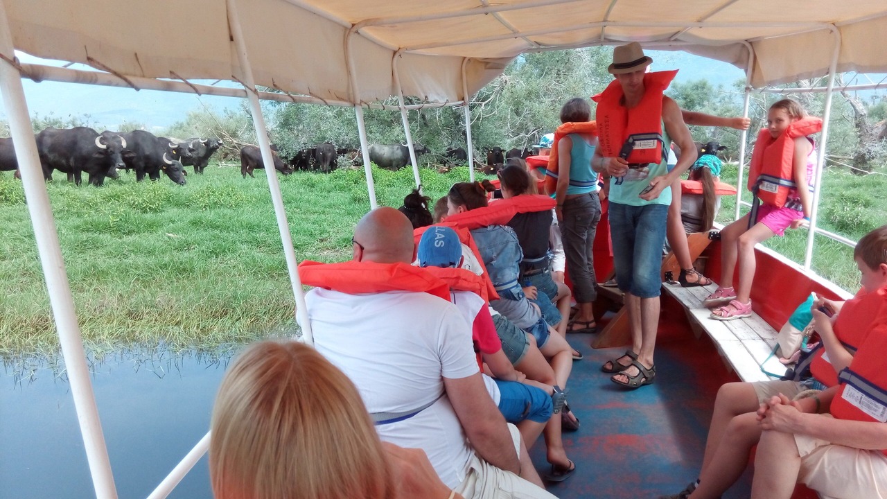 Photo of Others in Irakleia