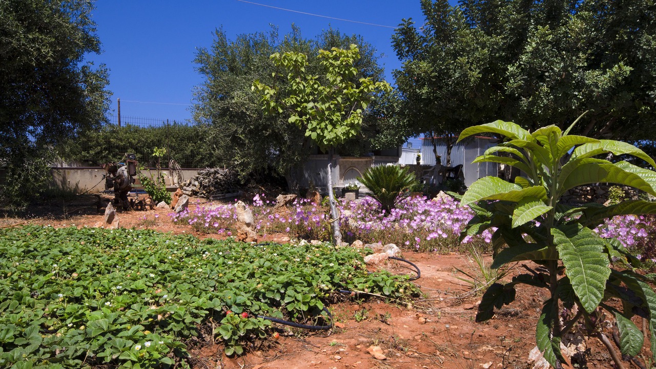Photo of Outdoor in Stavros