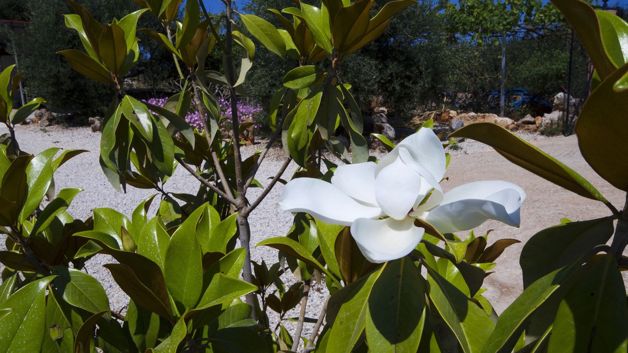 Photo of Outdoor in Stavros