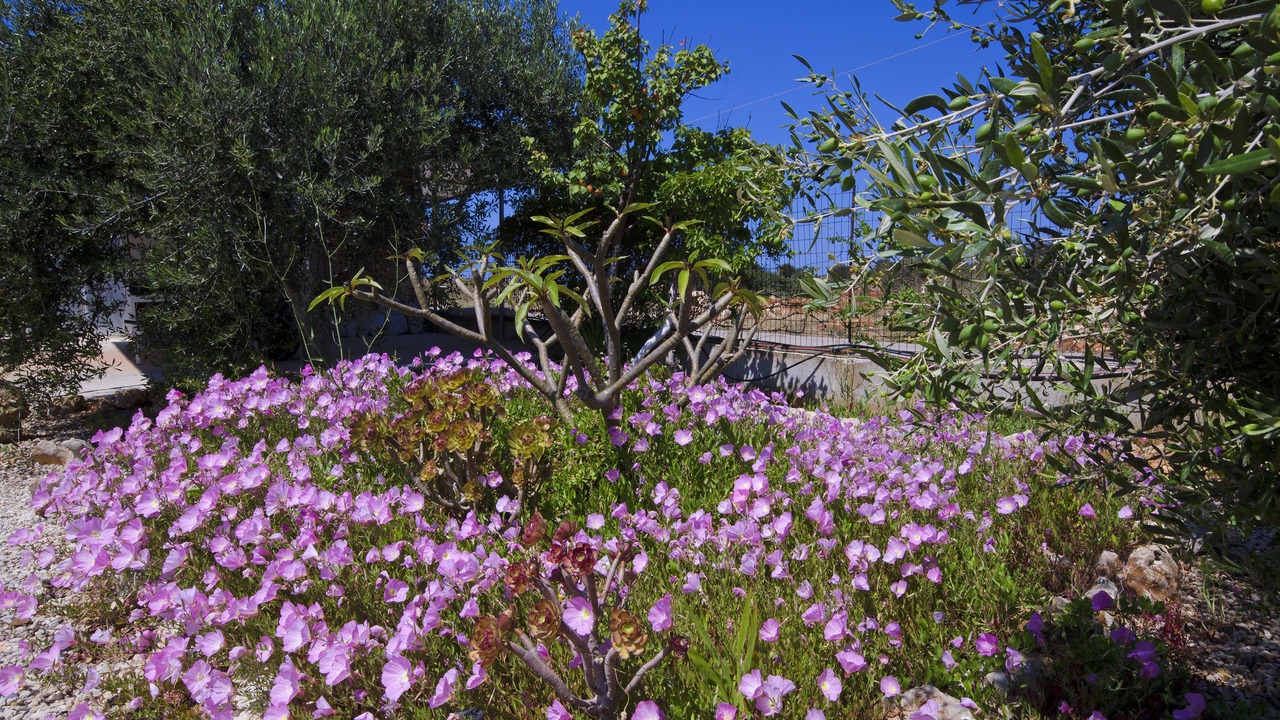 Photo of Outdoor in Stavros