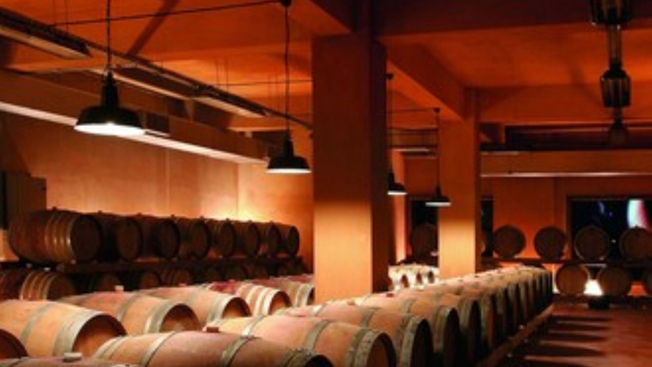 Photo of Others in Skalani