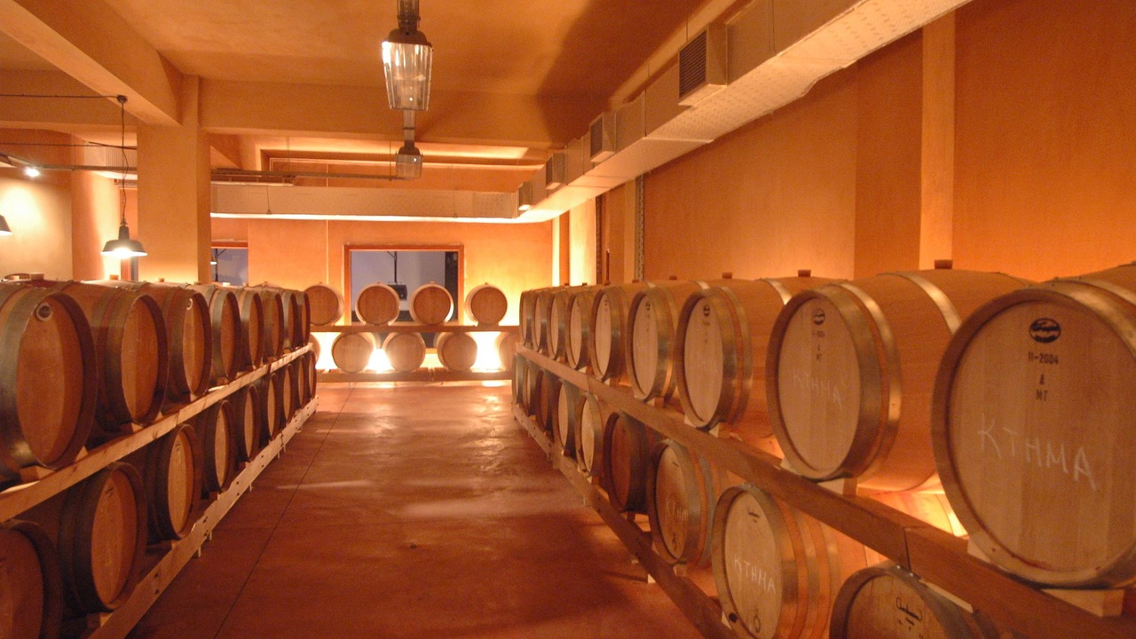 Photo of Others in Skalani