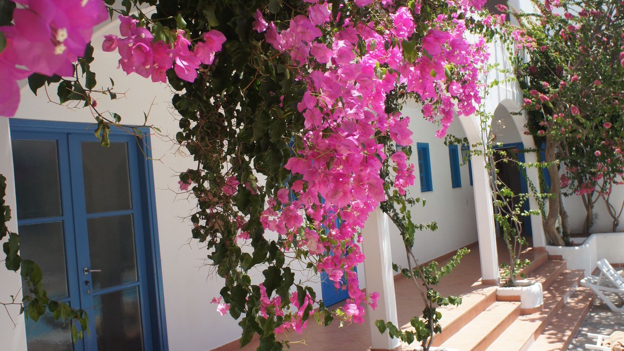 Photo of Outdoor in Livadia