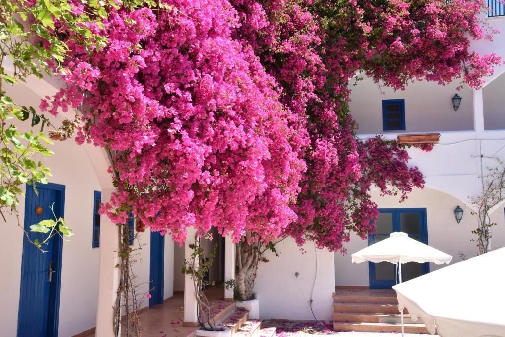 Photo of Outdoor in Livadia