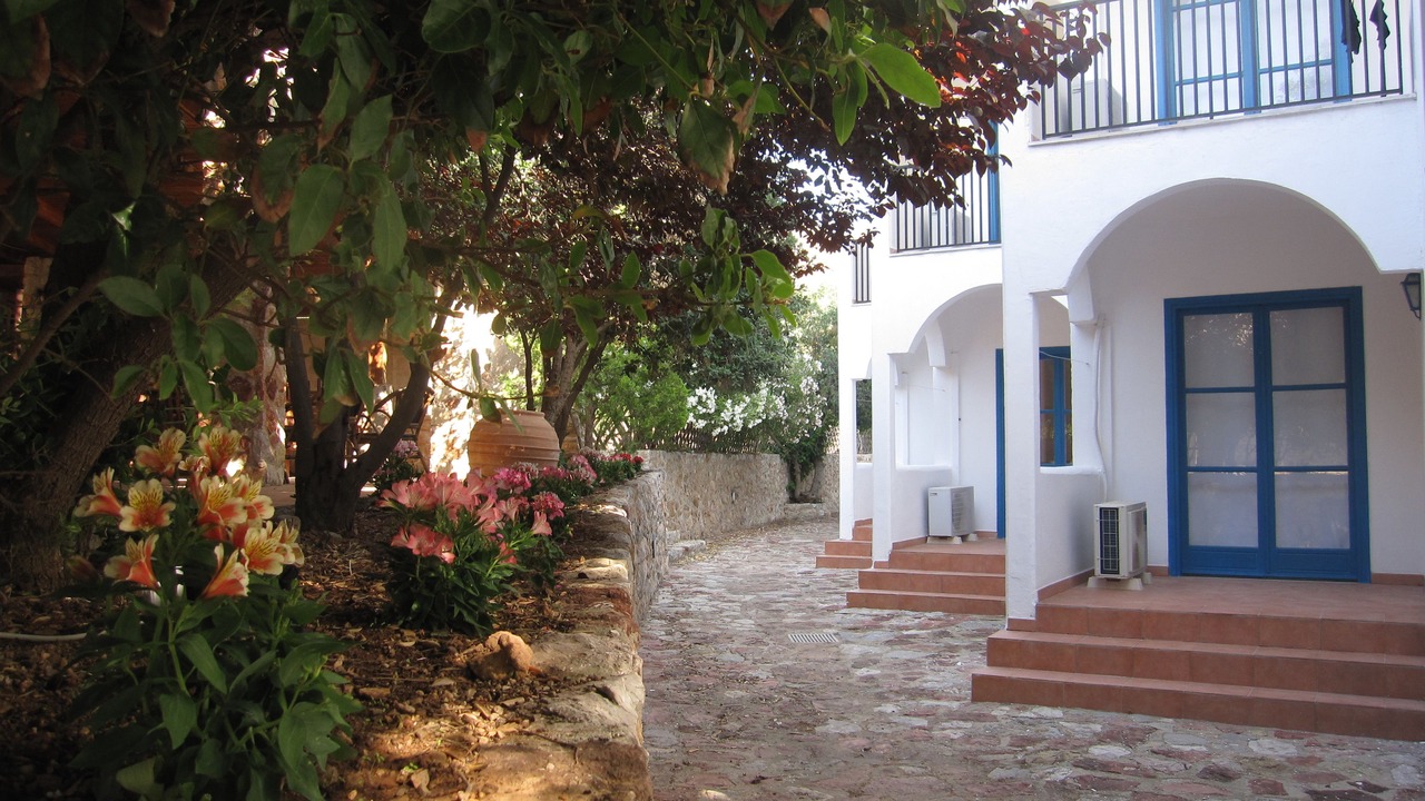 Photo of Outdoor in Livadia