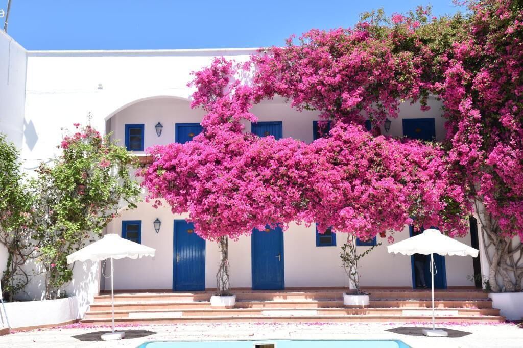 Photo of Outdoor in Livadia
