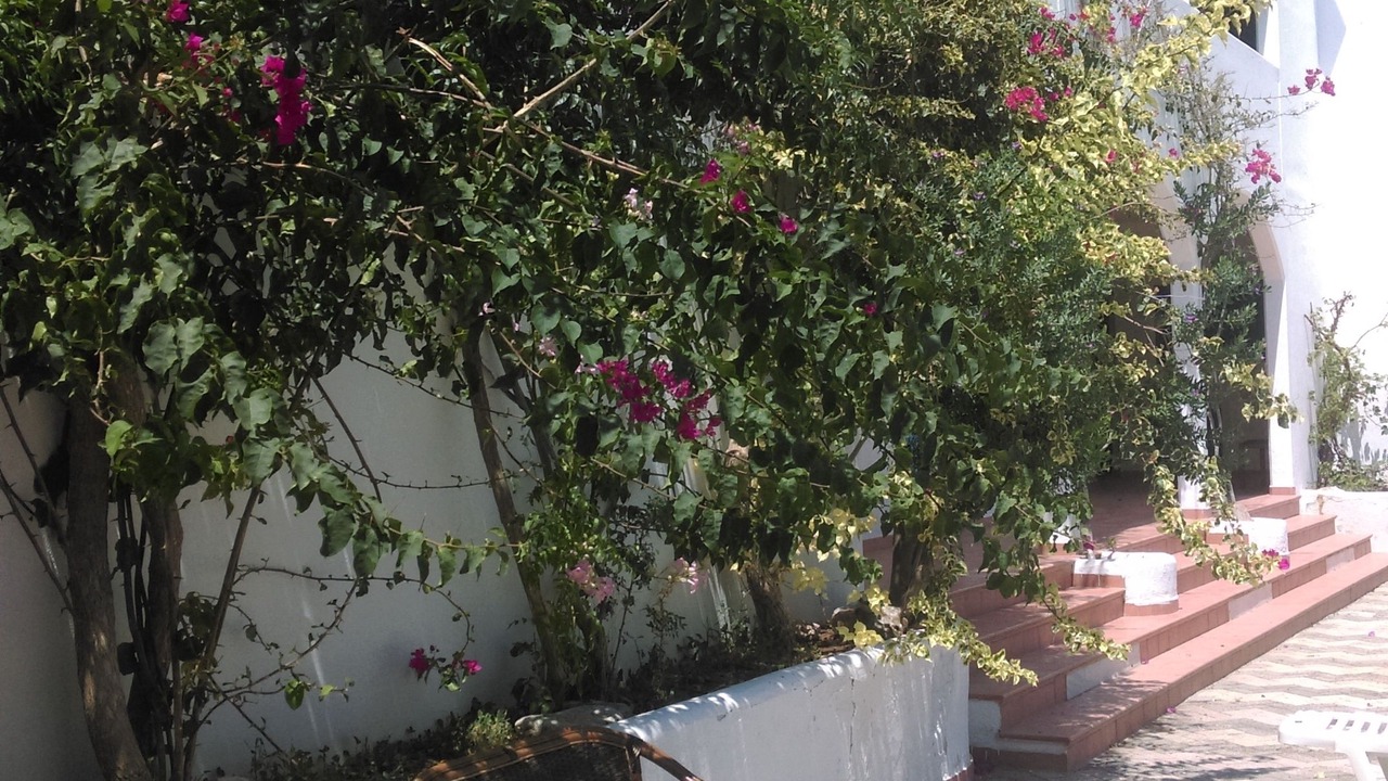 Photo of Outdoor in Livadia