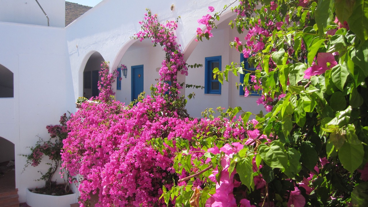Photo of Outdoor in Livadia