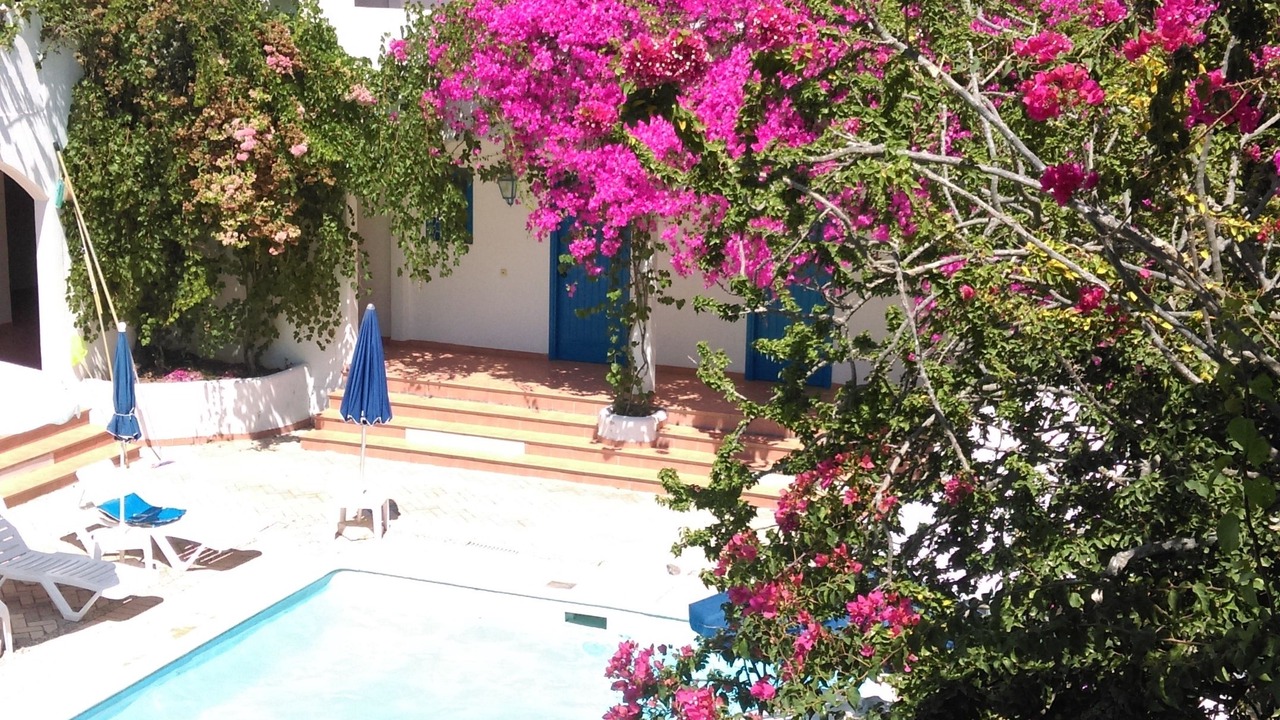 Photo of Outdoor in Livadia