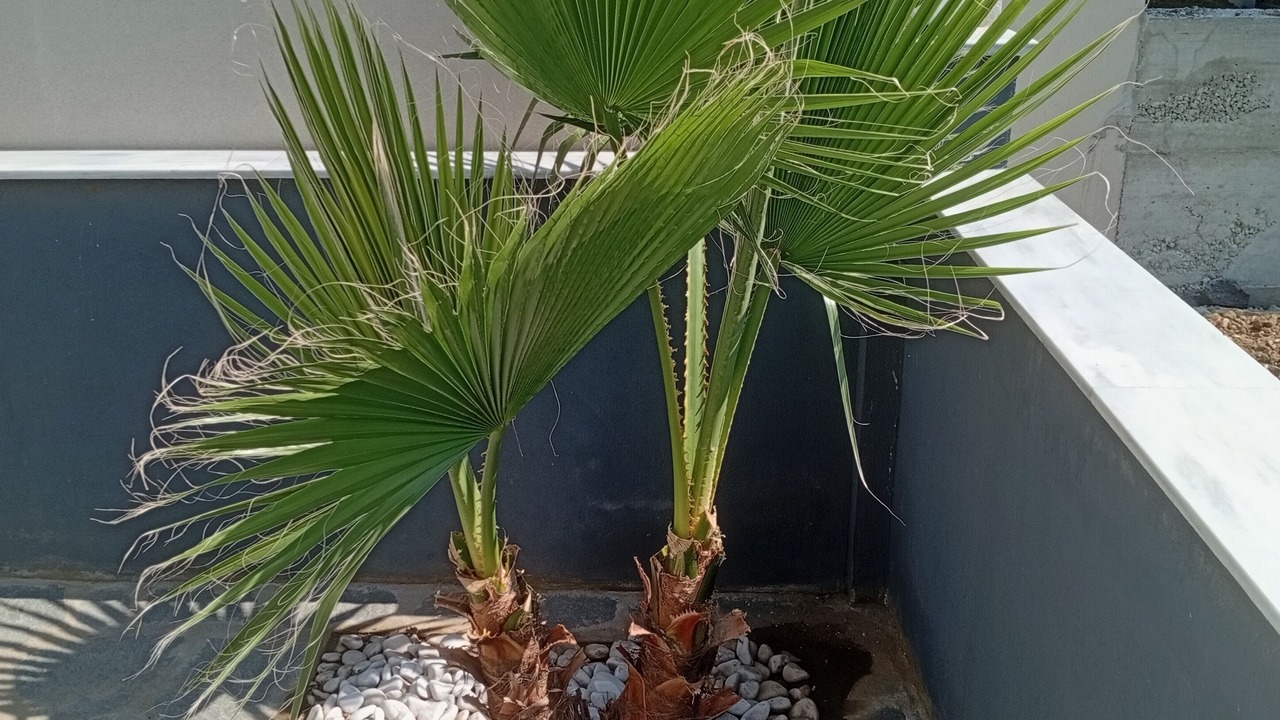 Photo of Outdoor in Asprovalta