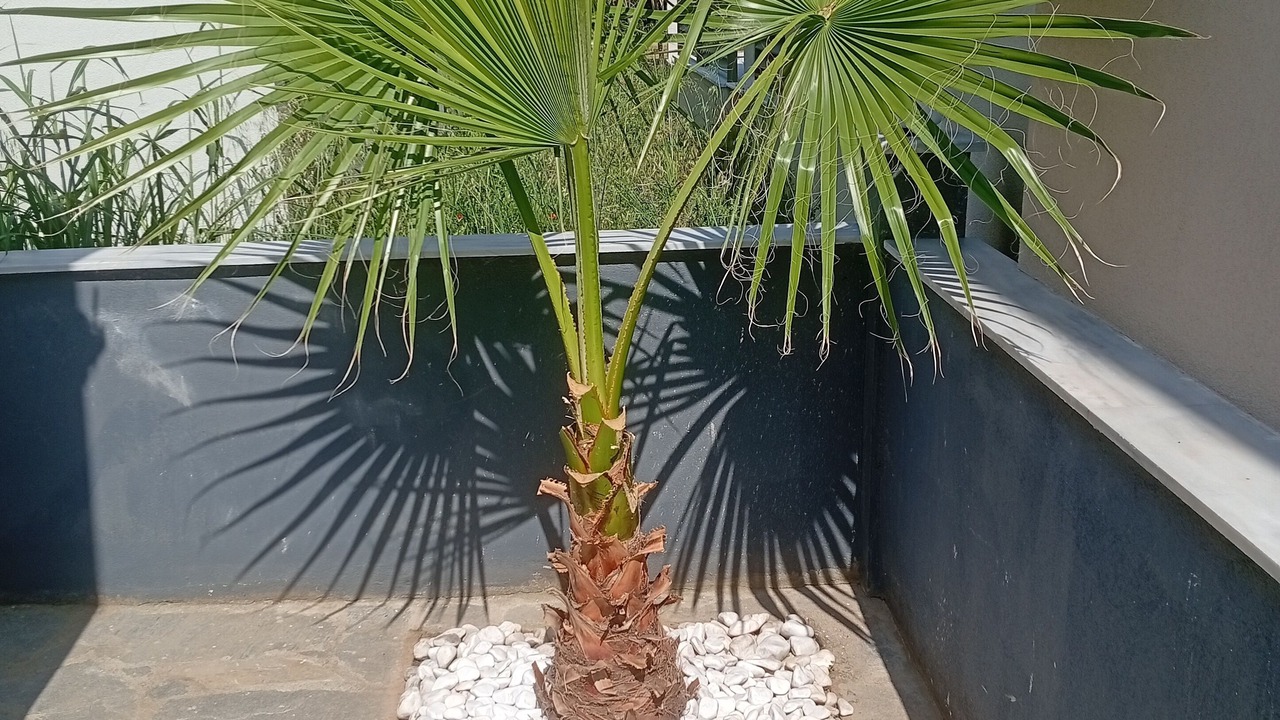 Photo of Outdoor in Asprovalta