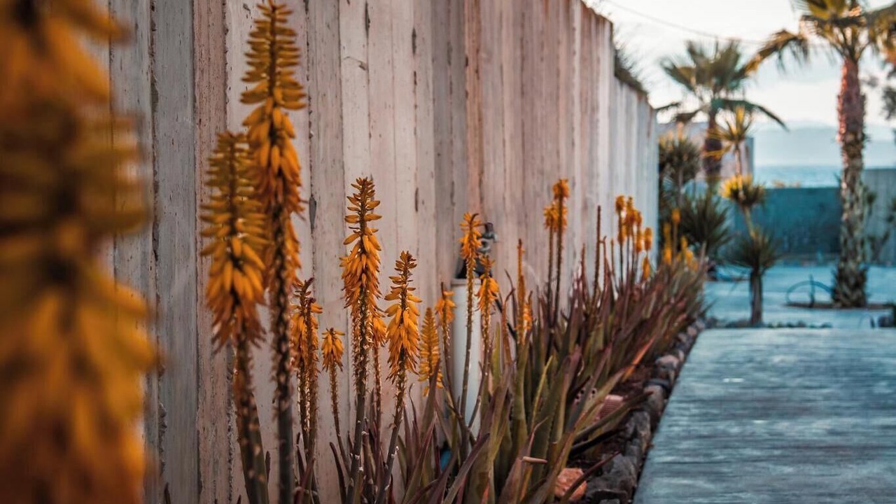Photo of Outdoor in Vagia