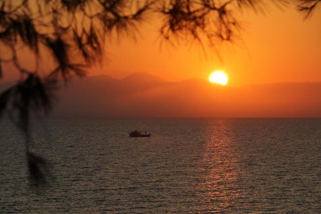 Photo of Others in Ano Vasilikos