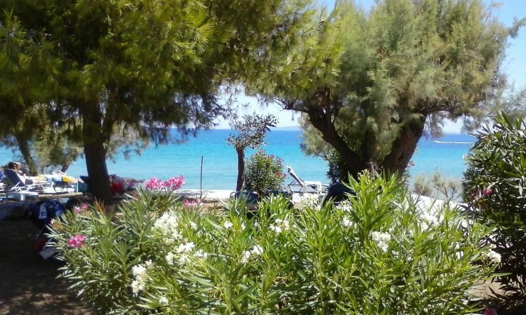 Photo of Others in Ano Vasilikos