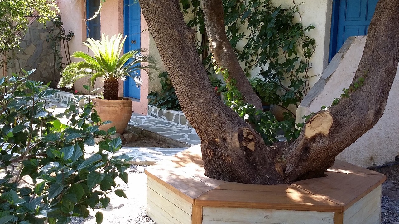 Photo of Outdoor in Kantanos-Selino