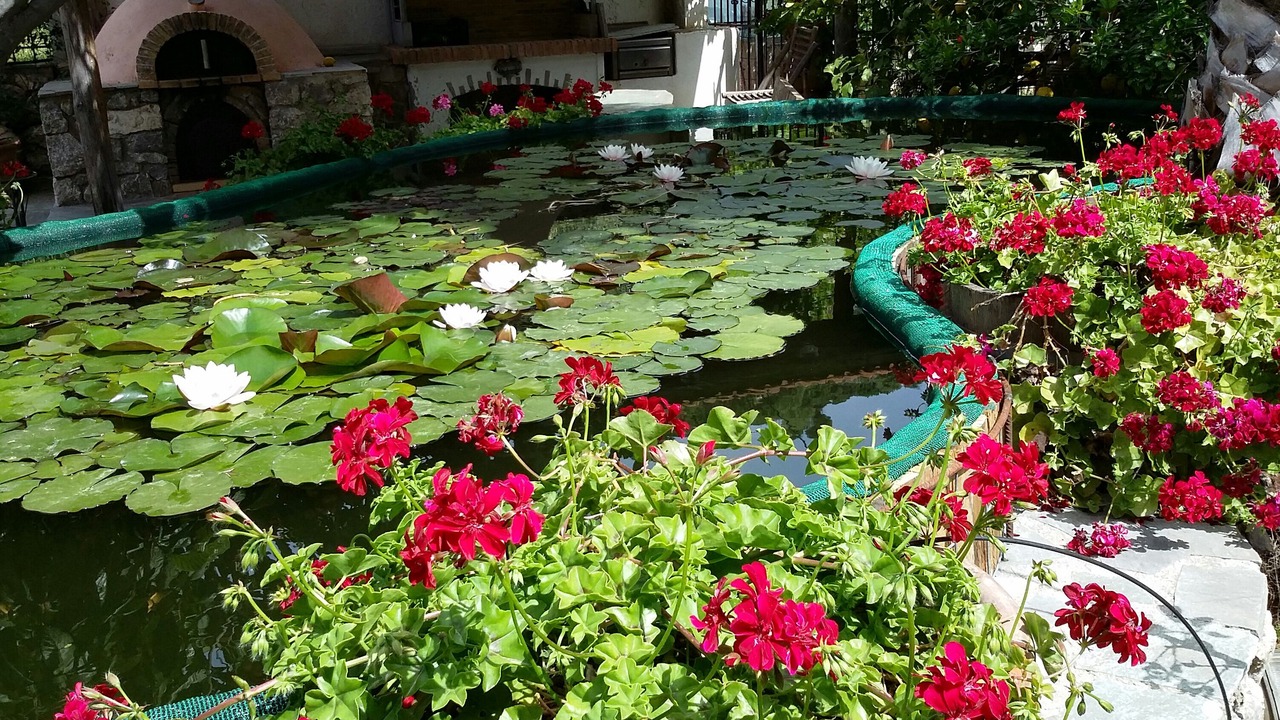 Photo of Outdoor in Kantanos-Selino