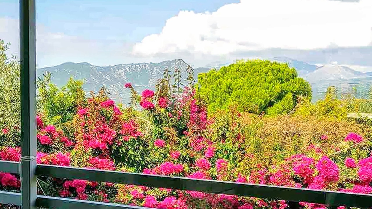 Photo of Others in Kardamyli