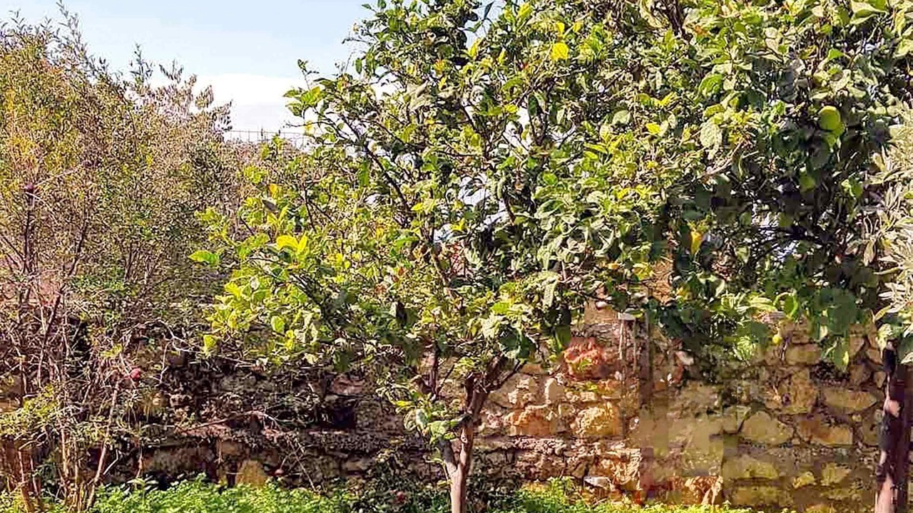 Photo of Others in Kardamyli