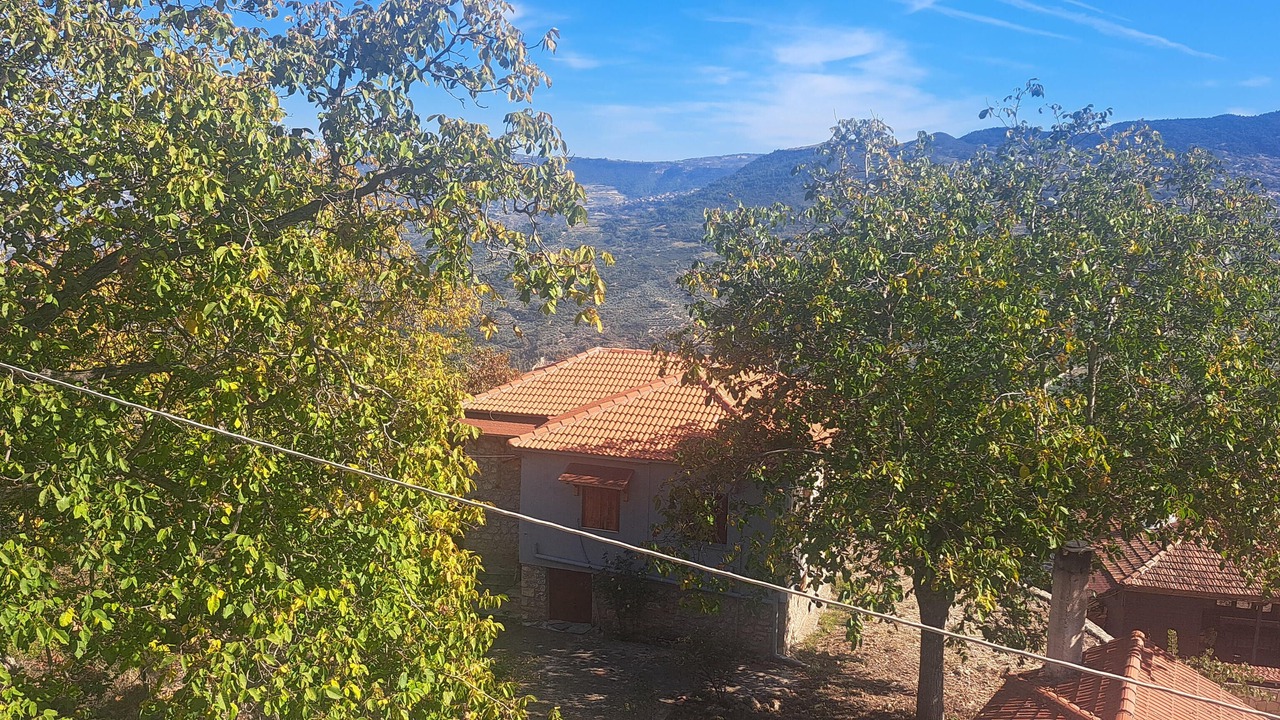Photo of Bedroom in Mesaia Trikala