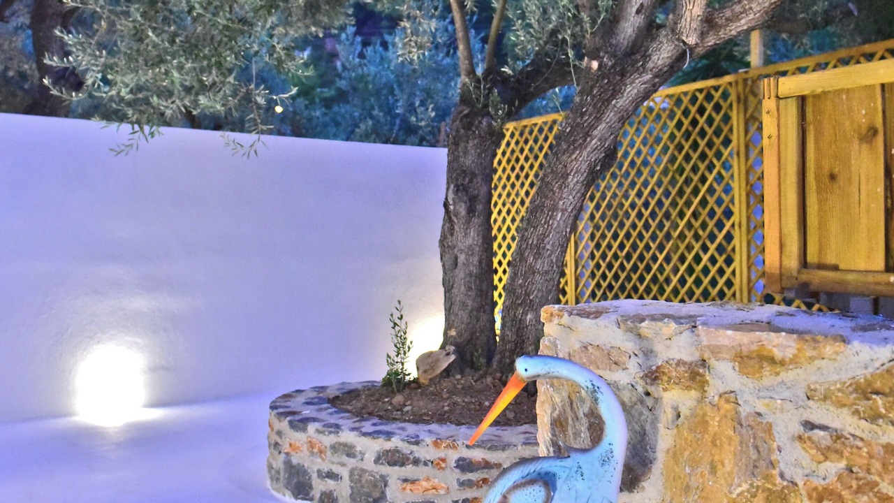 Photo of Outdoor in Elios