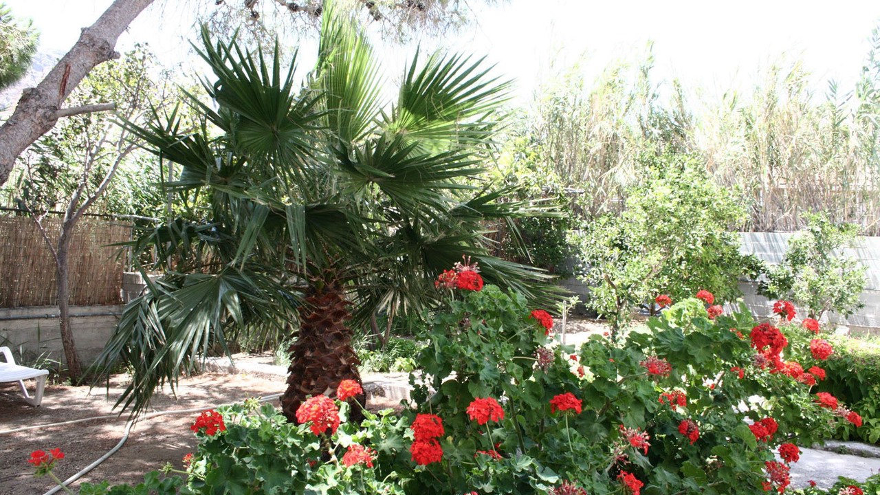 Photo of Others in Livadi