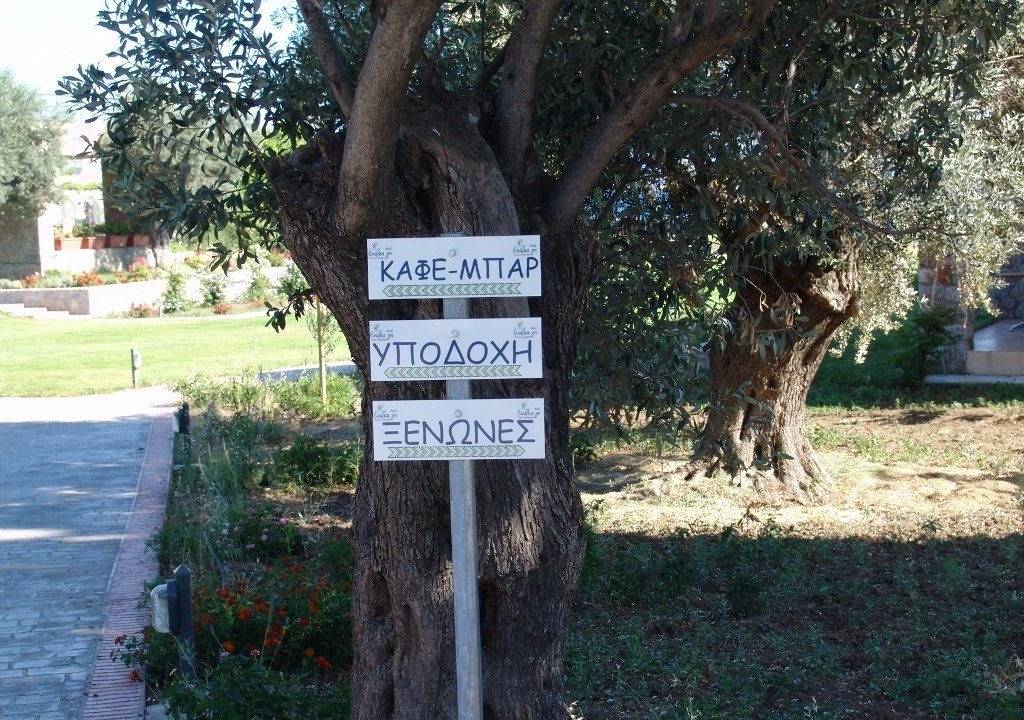 Photo of Outdoor in Agios Mamas