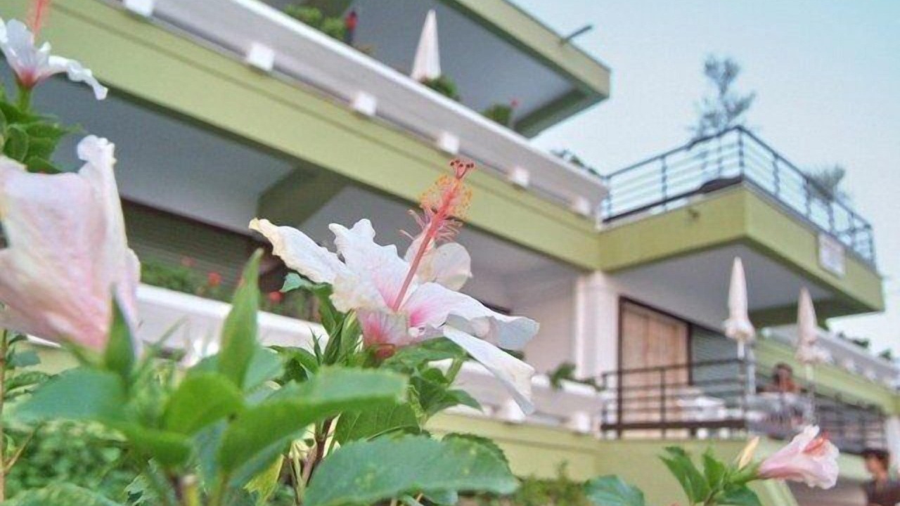 Photo of Outdoor in Akrogialion