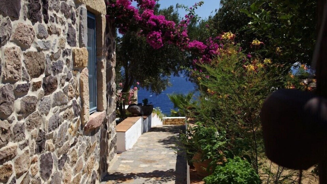 Photo of Outdoor in Sapsila