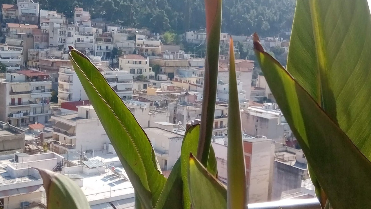 Photo of Outdoor in Lamia