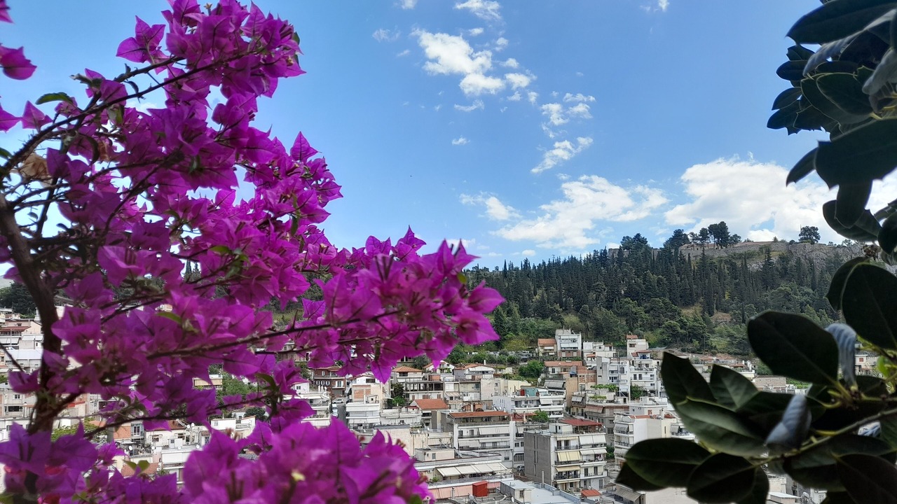 Photo of Outdoor in Lamia