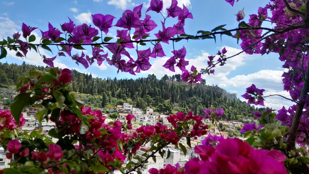 Photo of Outdoor in Lamia