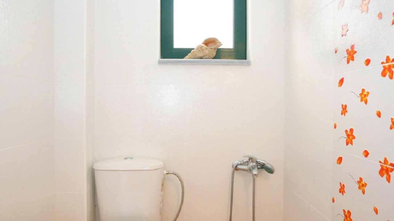 Photo of Bathroom in Megala Chorafia