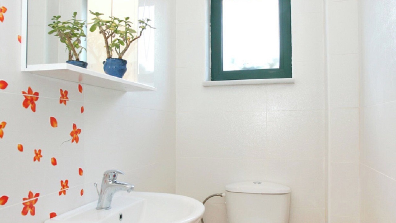 Photo of Bathroom in Megala Chorafia