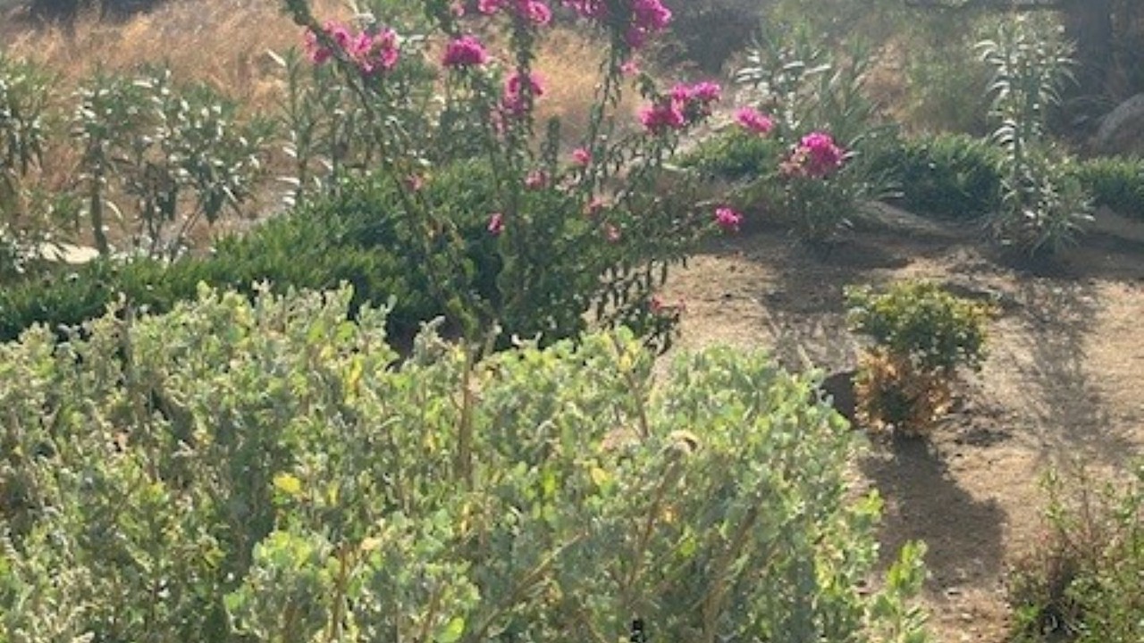Photo of Outdoor in Leros