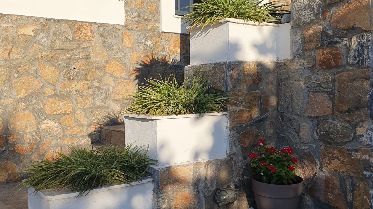 Photo of Outdoor in Plomari