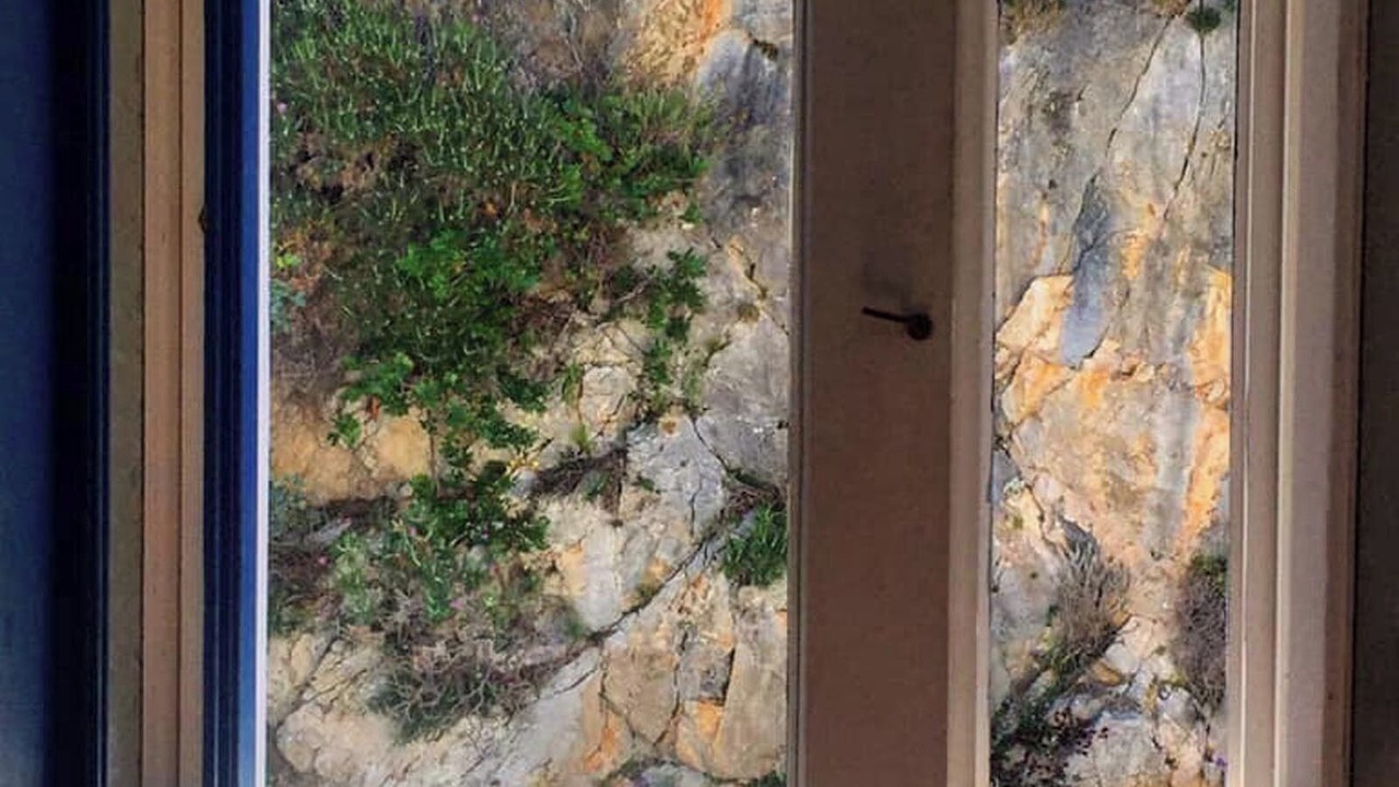 Photo of Others in Aperio