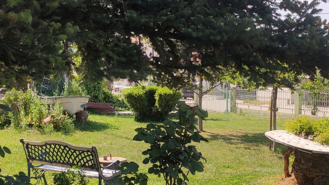 Photo of Others in Nemea