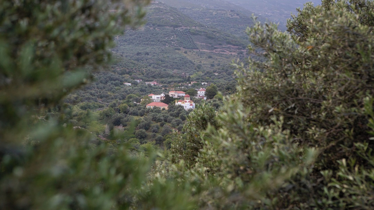 Photo of Others in Kalamios