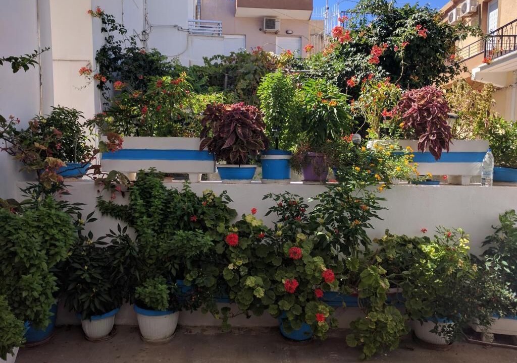 Photo of Outdoor in Palaiochora