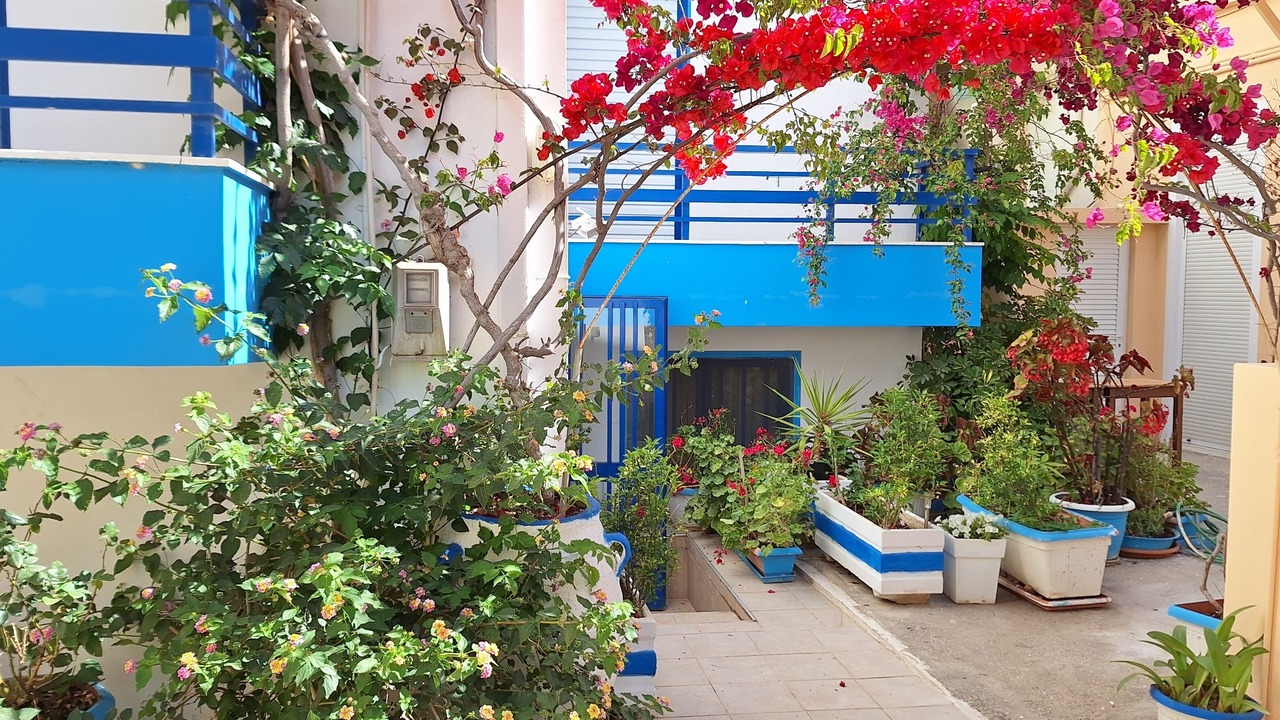 Photo of Outdoor in Palaiochora
