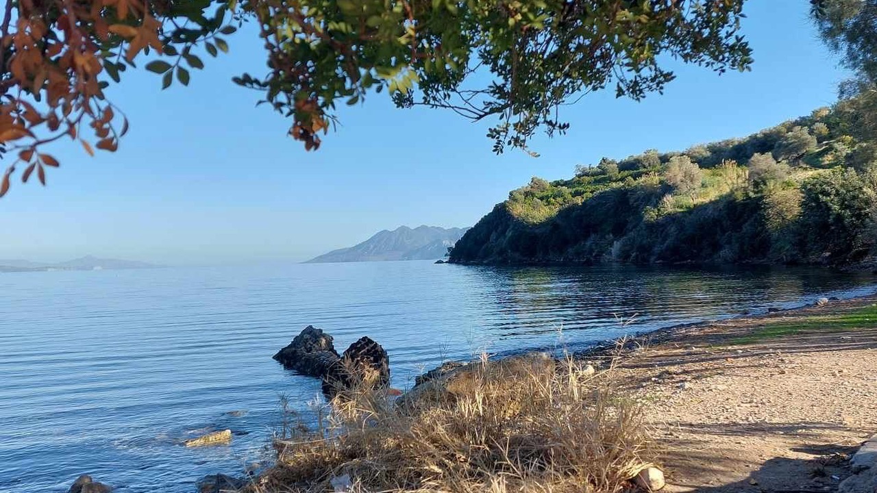 Photo of Others in Iria