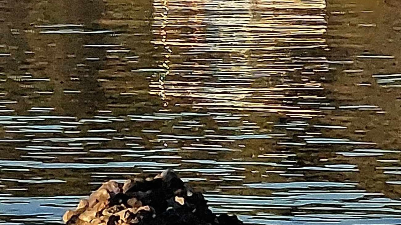 Photo of Others in Iria