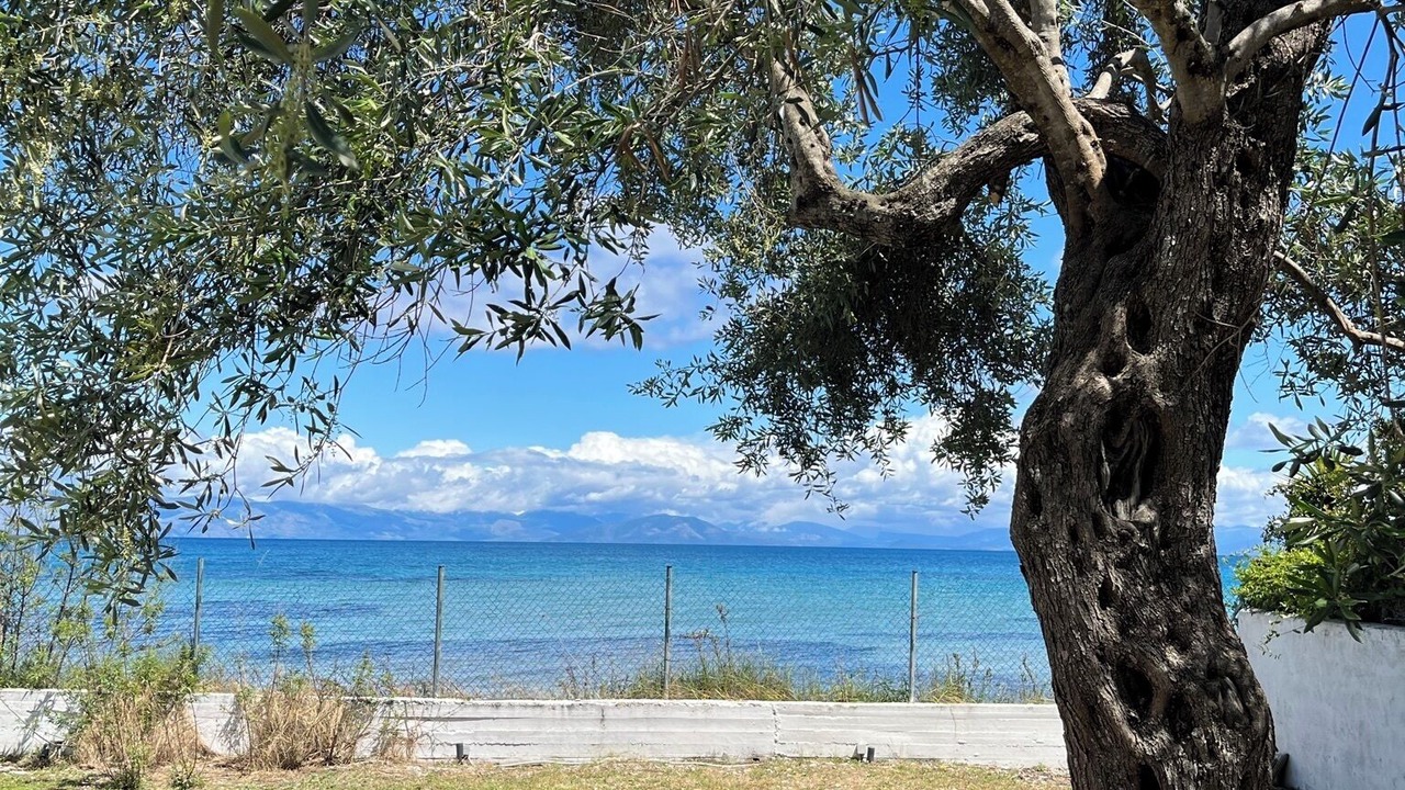 Photo of Outdoor in Messonghi